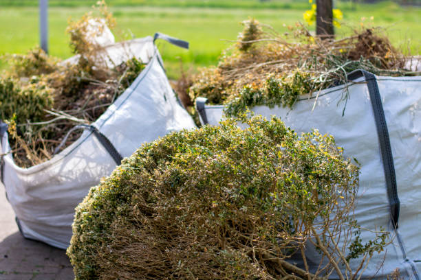Best Estate Cleanout Services  in Marion, IA